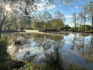 View of lake and bridge