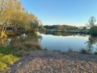 Lake looking across to the paddocks