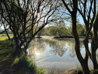 Early morning sun across lake