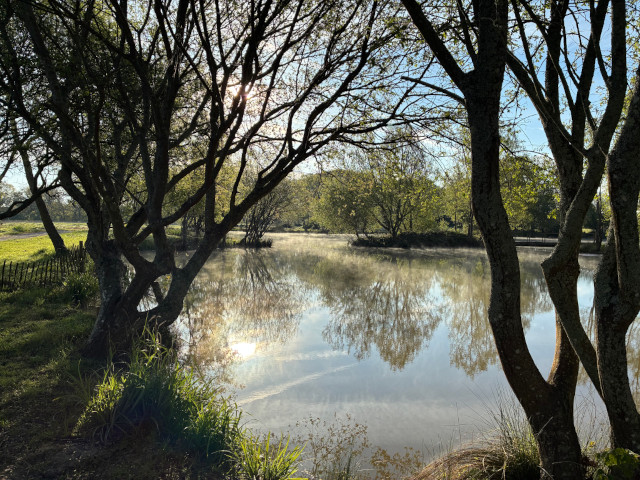 Early morning sun across lake