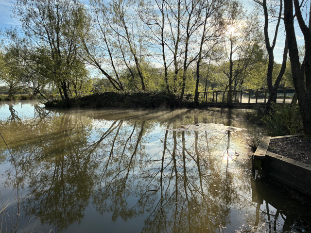 Bridge and little island in lake