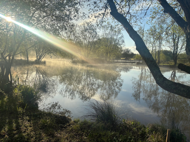 Sunlight striking lake